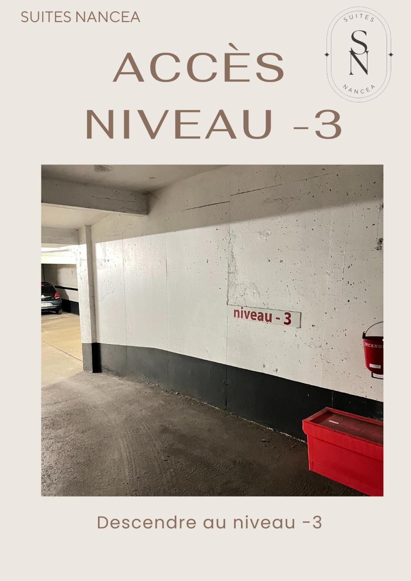 דירות Vue Sur Le Palais - Nancy Gare Congres - Parking - T3 מראה חיצוני תמונה
